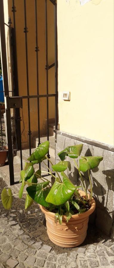 Pompei Vesevus Apartament Boscotrecase Экстерьер фото