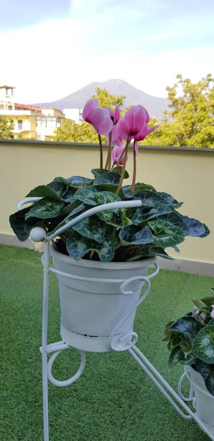 Pompei Vesevus Apartament Boscotrecase Экстерьер фото